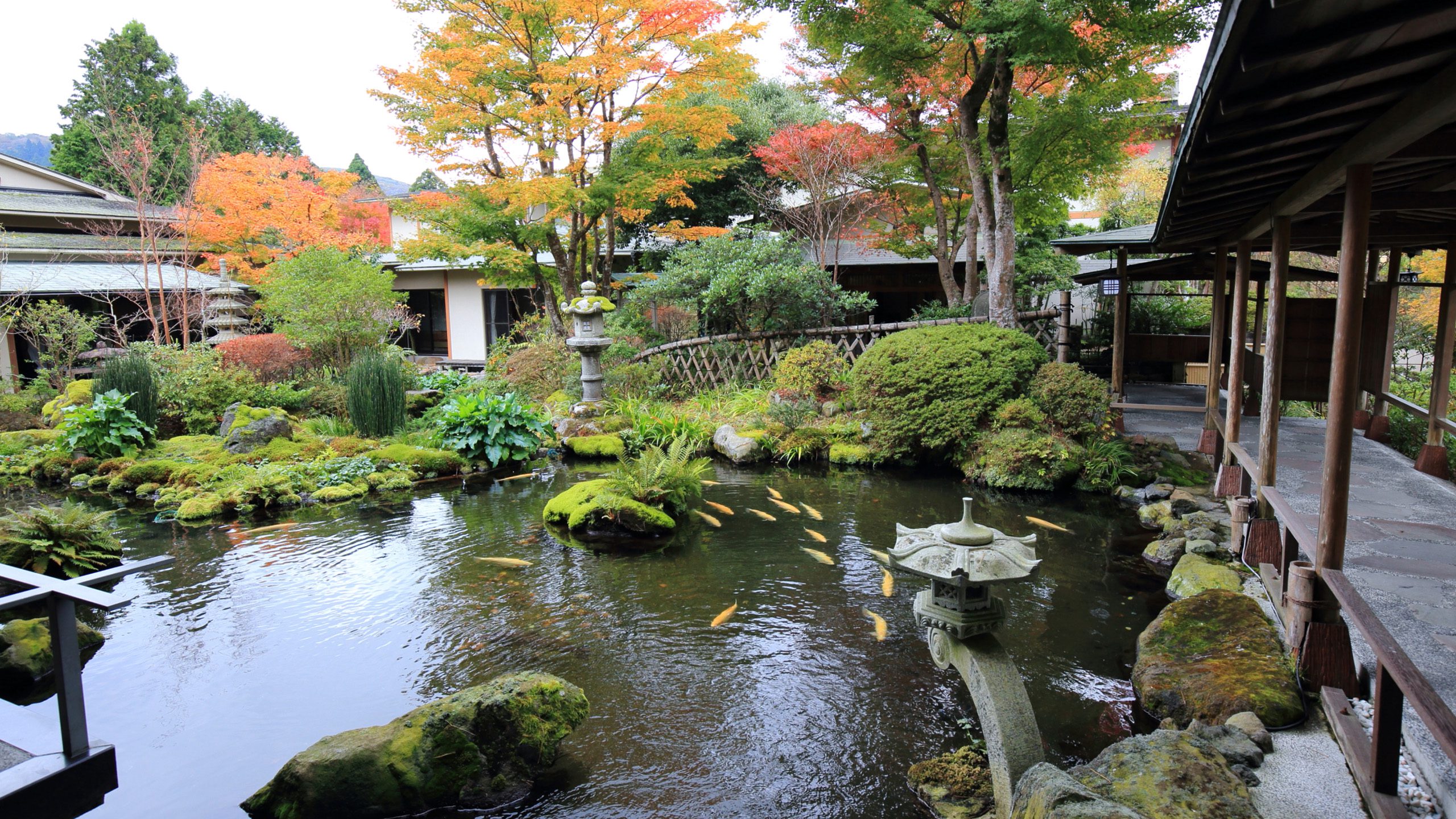 Yoshimatsu – Traditional Ryokan Retreat in Hakone