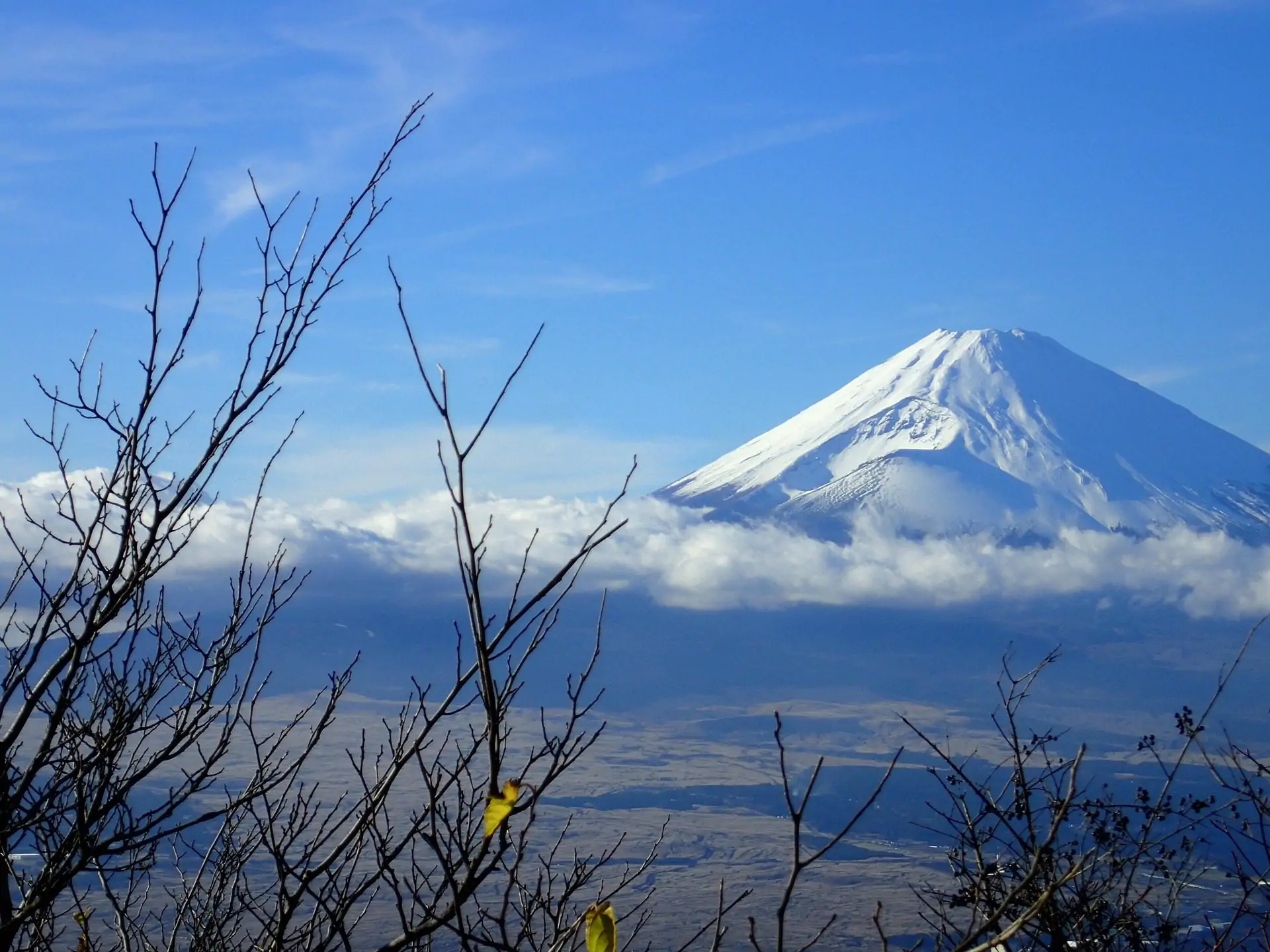 Discover Hakone, Japan